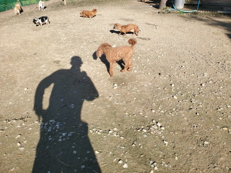 f:id:roukenhome-ann:20191106104558j:plain
