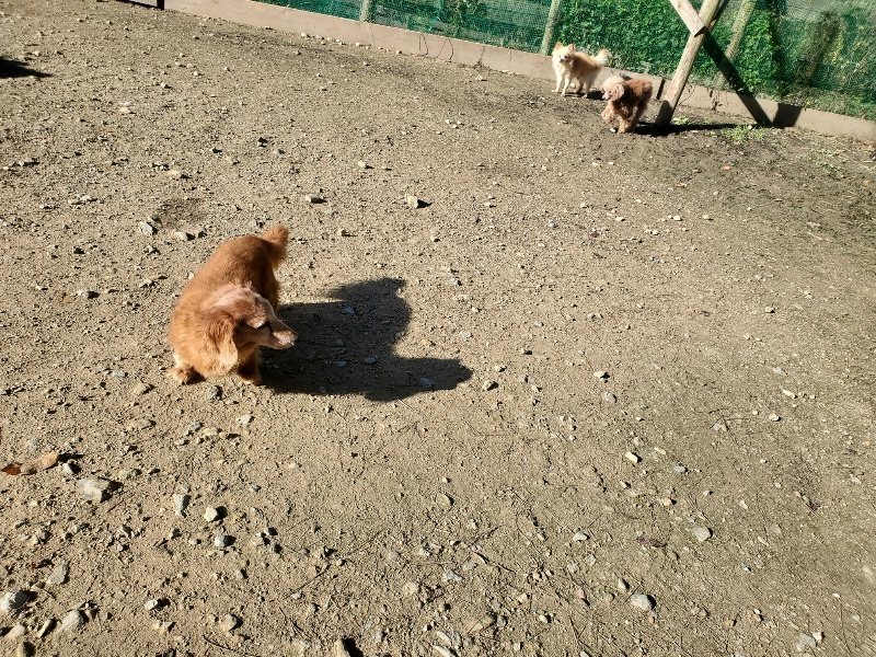 f:id:roukenhome-ann:20191106104617j:plain