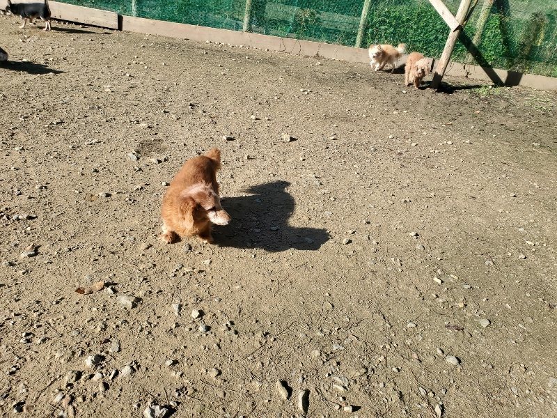 f:id:roukenhome-ann:20191106104633j:plain