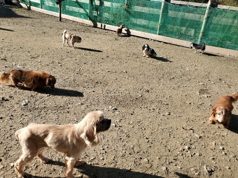 f:id:roukenhome-ann:20191106104641j:plain