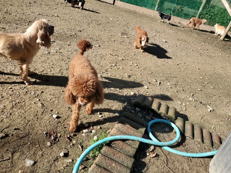 f:id:roukenhome-ann:20191106104650j:plain