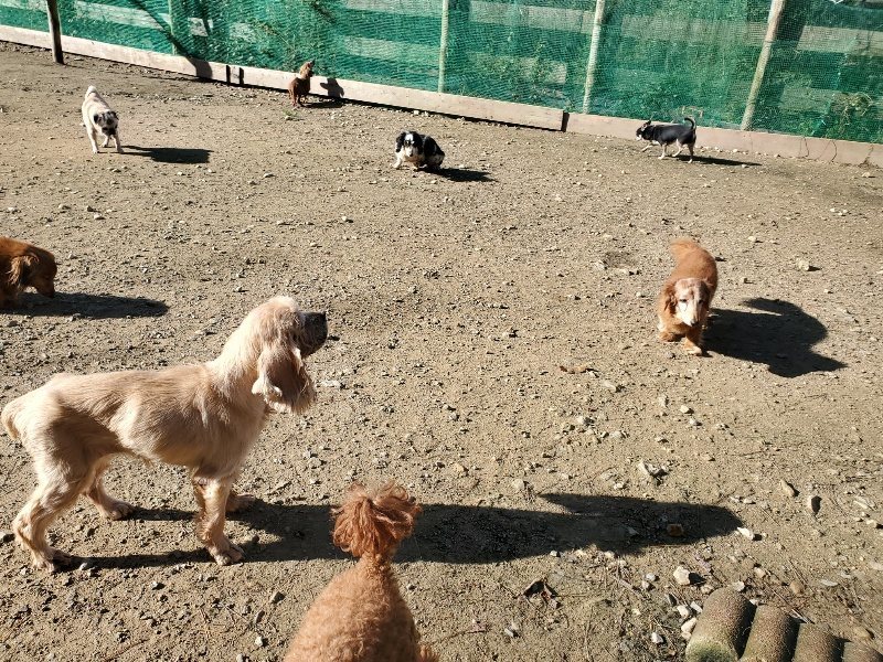 f:id:roukenhome-ann:20191106104657j:plain