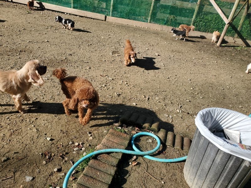 f:id:roukenhome-ann:20191106104704j:plain
