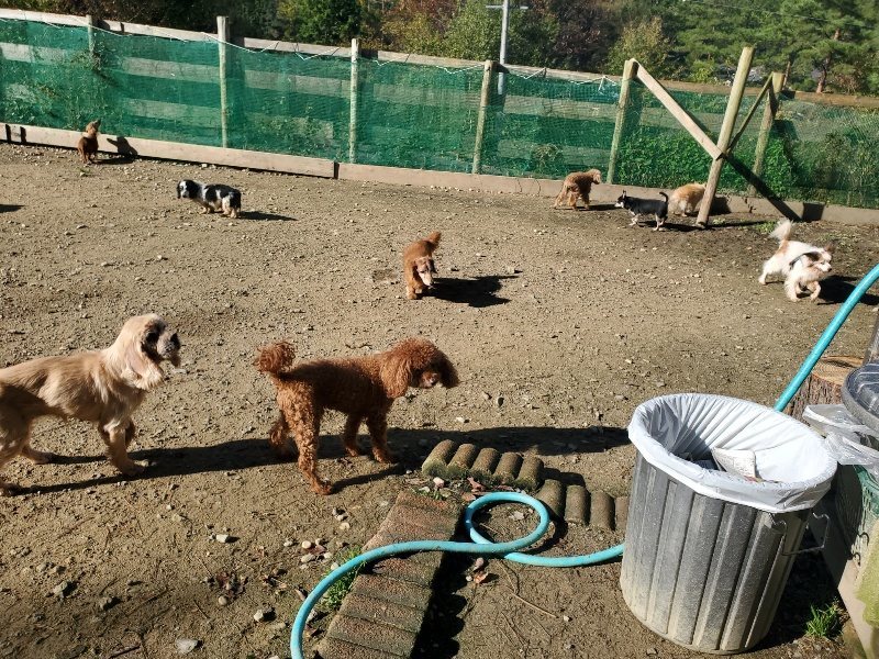 f:id:roukenhome-ann:20191106104738j:plain