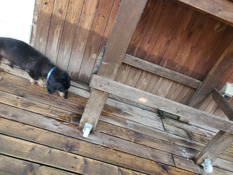 f:id:roukenhome-ann:20191106104801j:plain