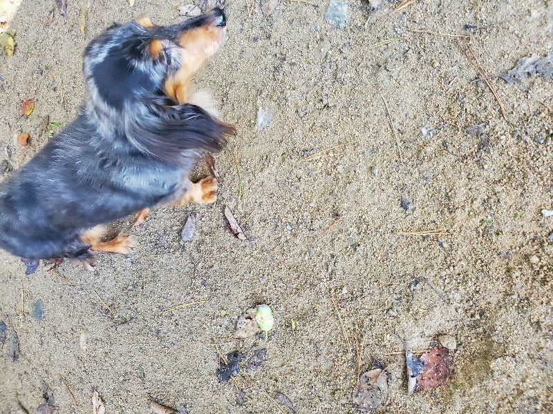 f:id:roukenhome-ann:20191106104931j:plain