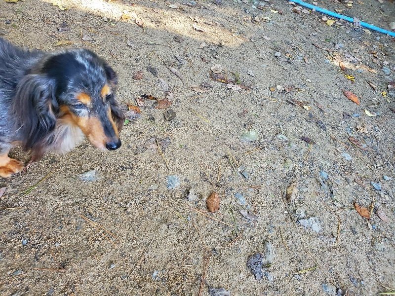 f:id:roukenhome-ann:20191106104953j:plain