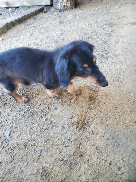 f:id:roukenhome-ann:20191106105110j:plain