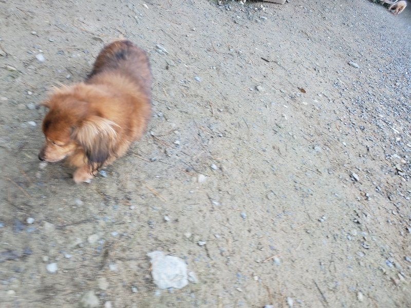 f:id:roukenhome-ann:20191106105220j:plain