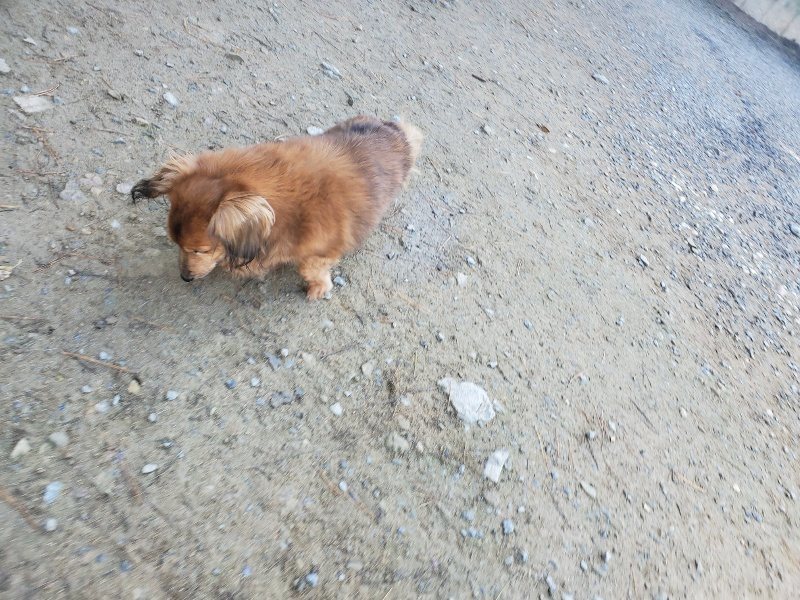 f:id:roukenhome-ann:20191106105233j:plain