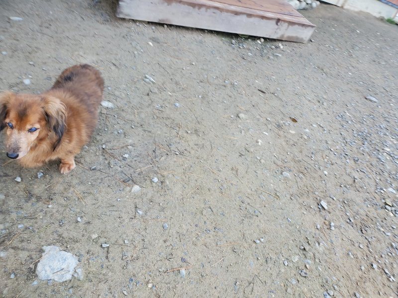 f:id:roukenhome-ann:20191106105241j:plain