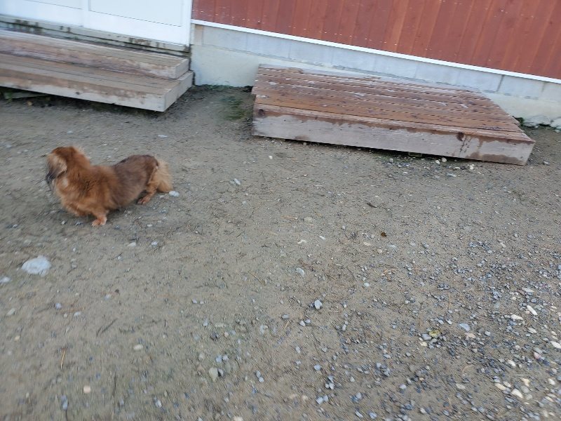 f:id:roukenhome-ann:20191106105253j:plain