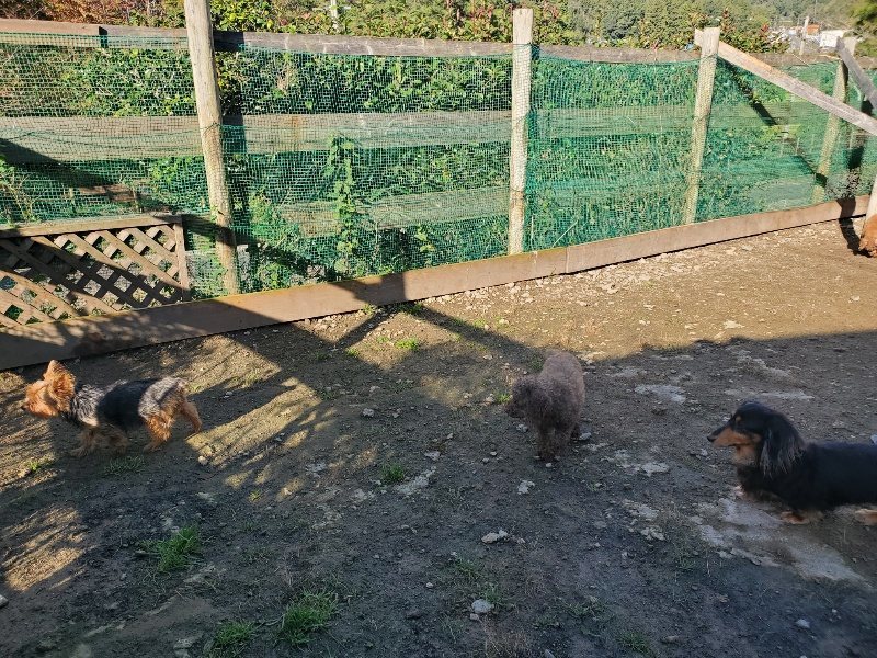 f:id:roukenhome-ann:20191106110424j:plain