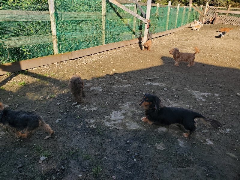 f:id:roukenhome-ann:20191106110439j:plain
