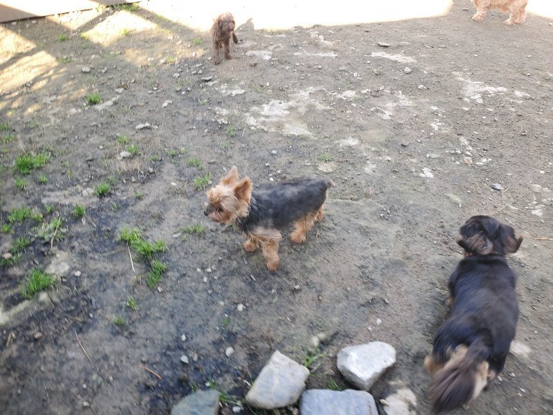 f:id:roukenhome-ann:20191106110501j:plain