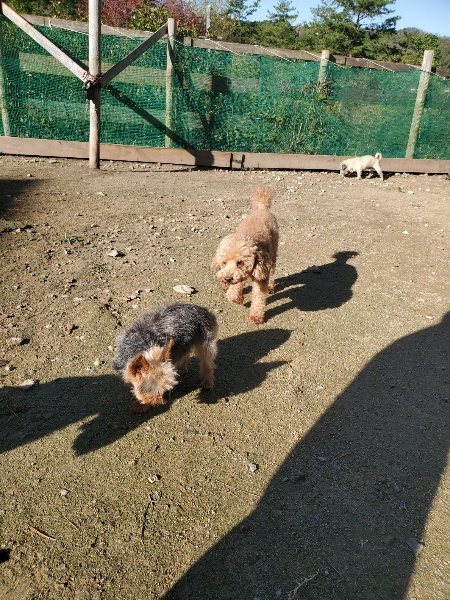 f:id:roukenhome-ann:20191106110520j:plain