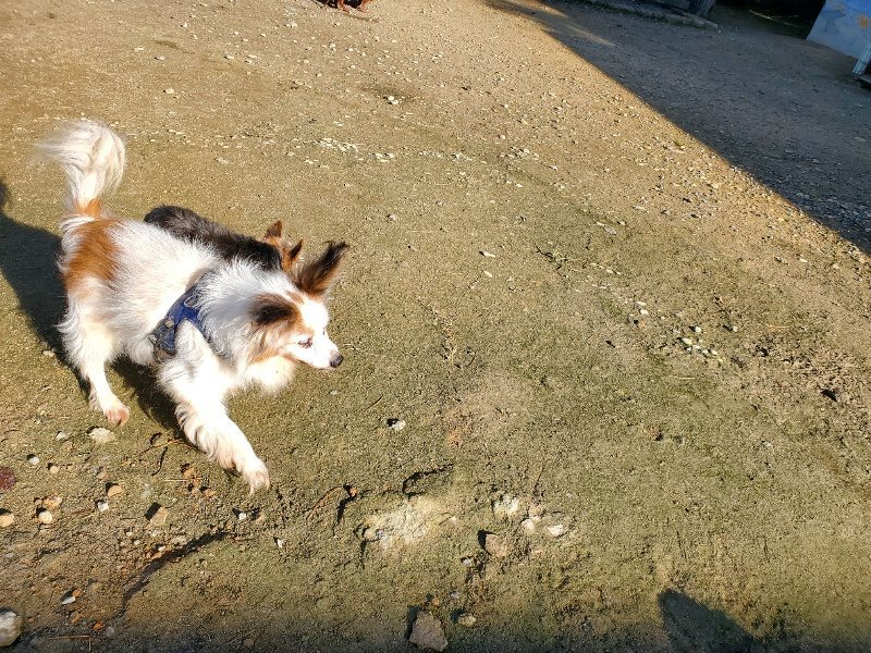f:id:roukenhome-ann:20191106110610j:plain
