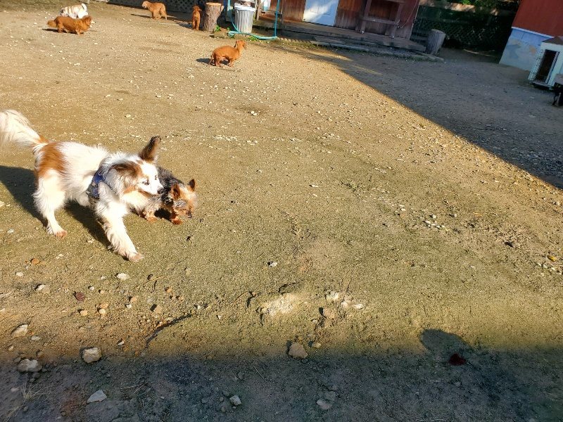 f:id:roukenhome-ann:20191106110640j:plain