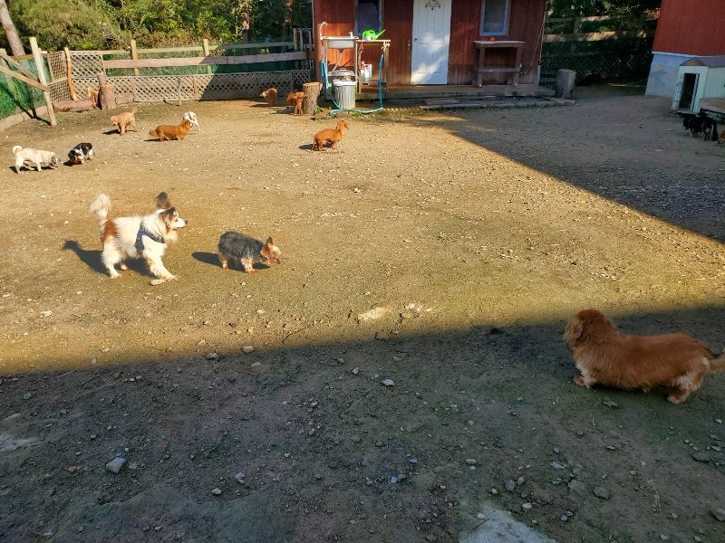 f:id:roukenhome-ann:20191106110657j:plain