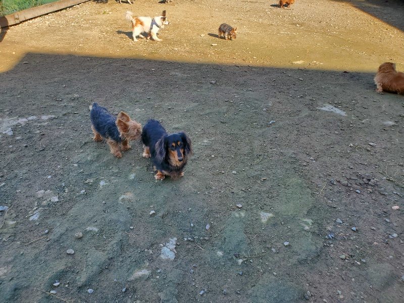 f:id:roukenhome-ann:20191106110732j:plain