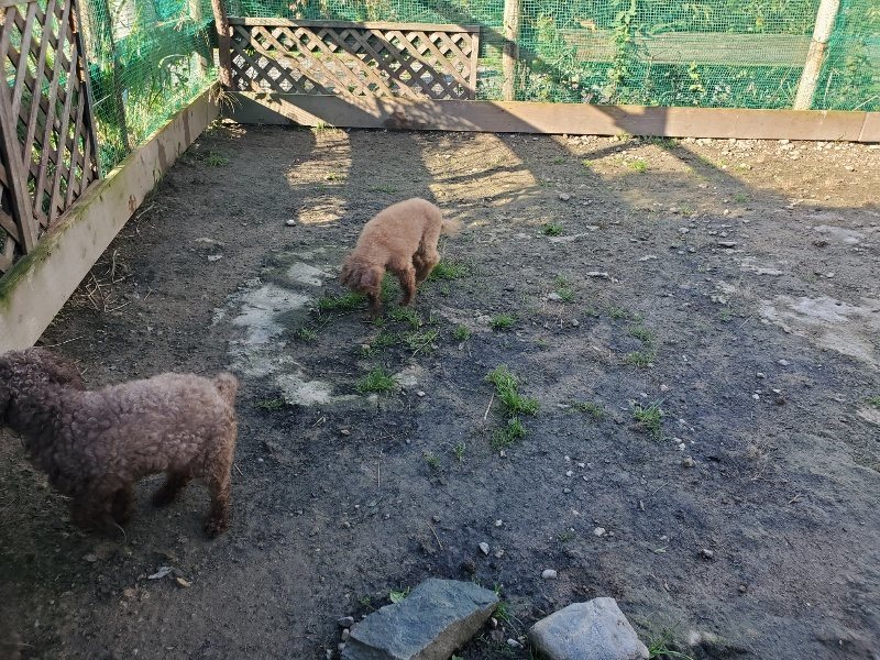 f:id:roukenhome-ann:20191106110758j:plain