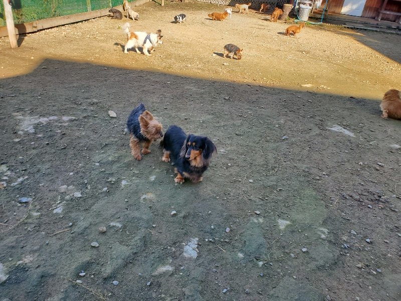 f:id:roukenhome-ann:20191106110817j:plain