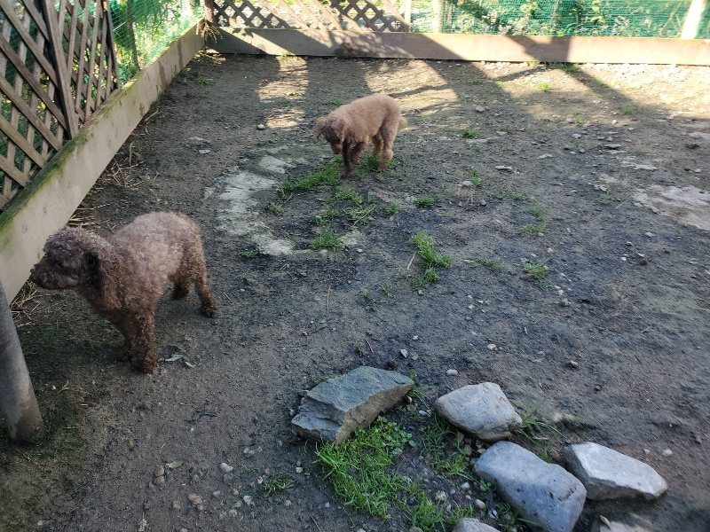 f:id:roukenhome-ann:20191106110832j:plain