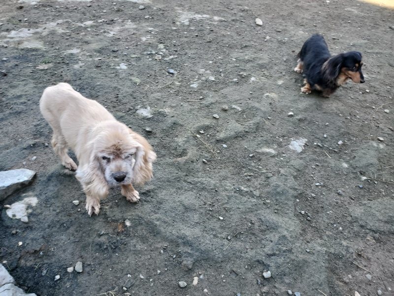 f:id:roukenhome-ann:20191106110846j:plain