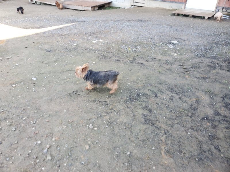 f:id:roukenhome-ann:20191106110859j:plain