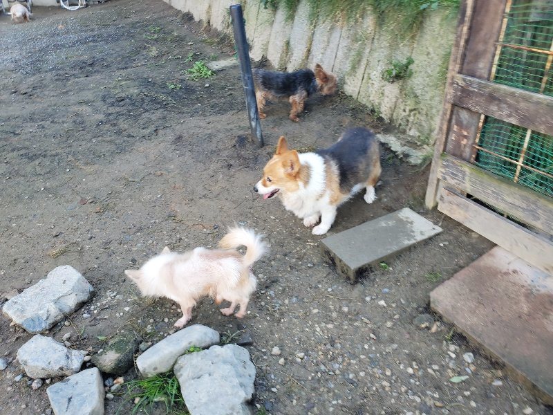 f:id:roukenhome-ann:20191106111014j:plain
