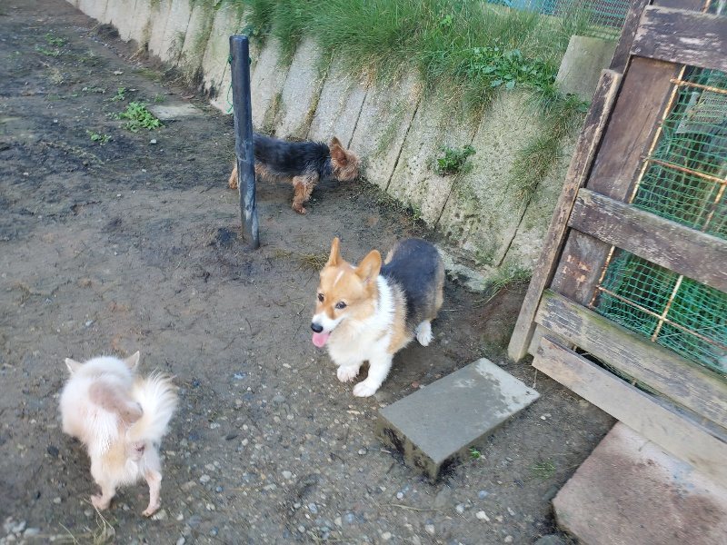 f:id:roukenhome-ann:20191106111027j:plain