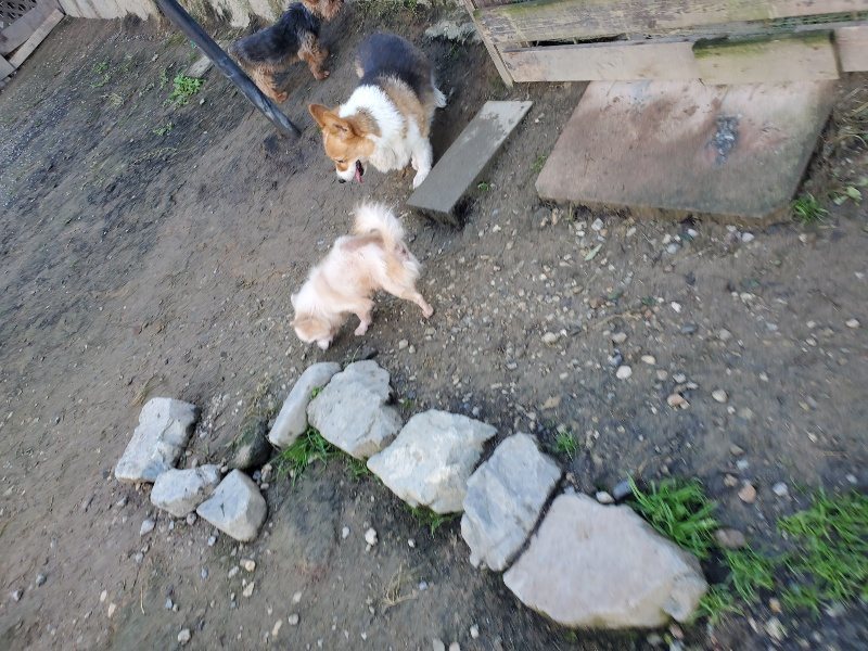 f:id:roukenhome-ann:20191106111039j:plain