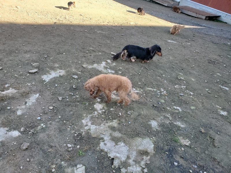 f:id:roukenhome-ann:20191106111056j:plain