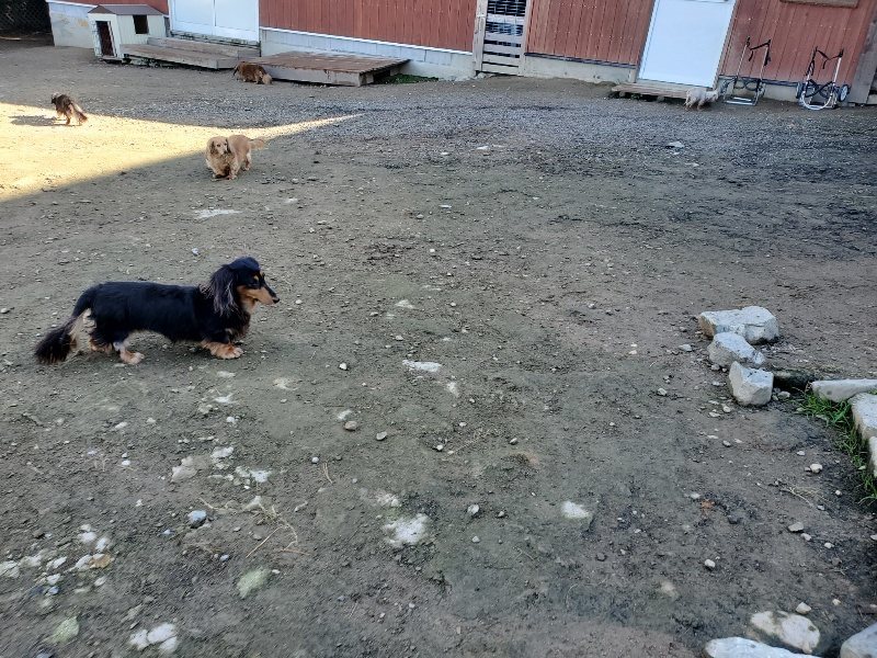 f:id:roukenhome-ann:20191106111113j:plain