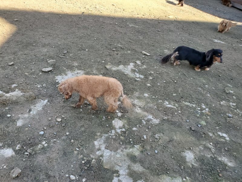 f:id:roukenhome-ann:20191106111150j:plain