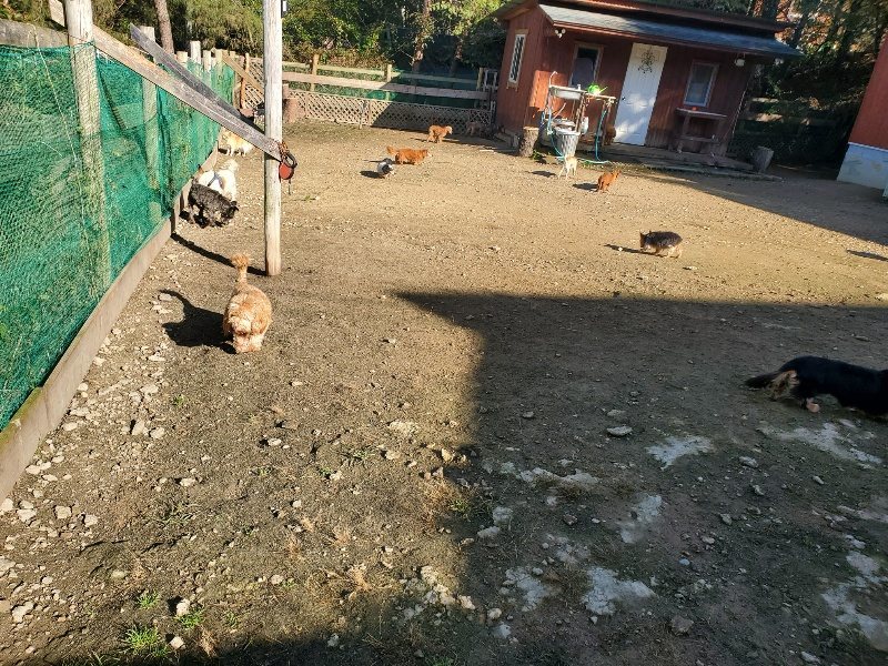 f:id:roukenhome-ann:20191106111227j:plain