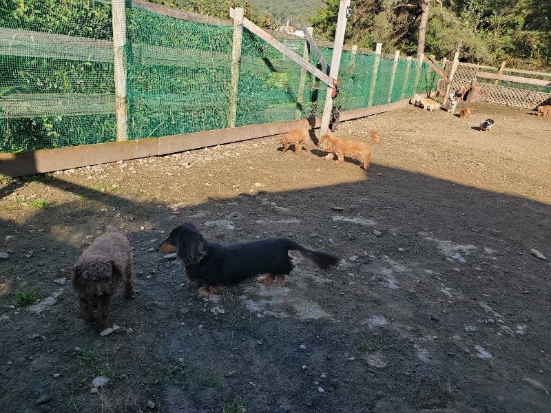 f:id:roukenhome-ann:20191106111540j:plain