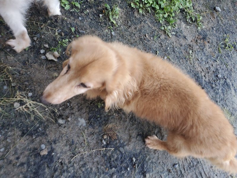 f:id:roukenhome-ann:20191106111701j:plain