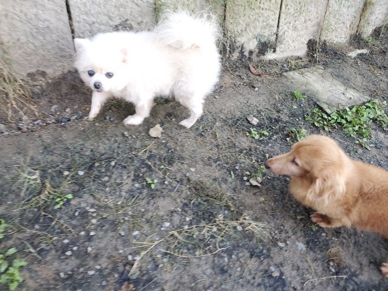 f:id:roukenhome-ann:20191106111720j:plain