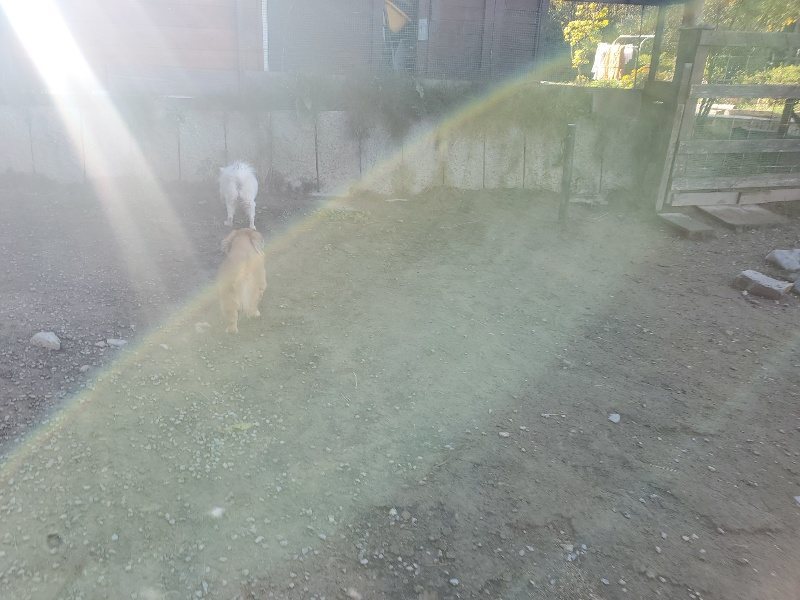 f:id:roukenhome-ann:20191106111731j:plain