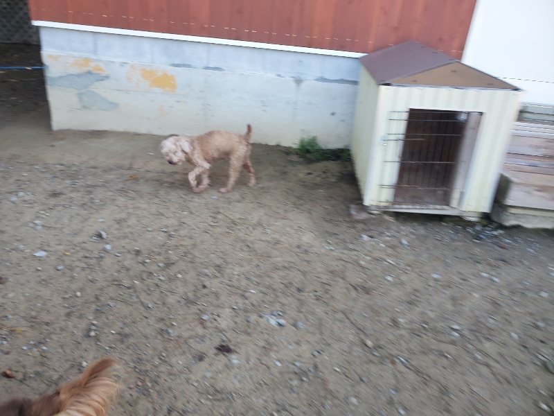 f:id:roukenhome-ann:20191106111750j:plain
