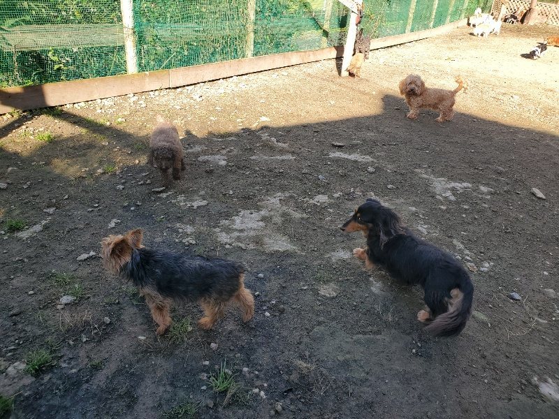 f:id:roukenhome-ann:20191106111807j:plain