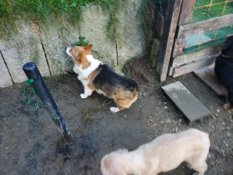 f:id:roukenhome-ann:20191106111819j:plain