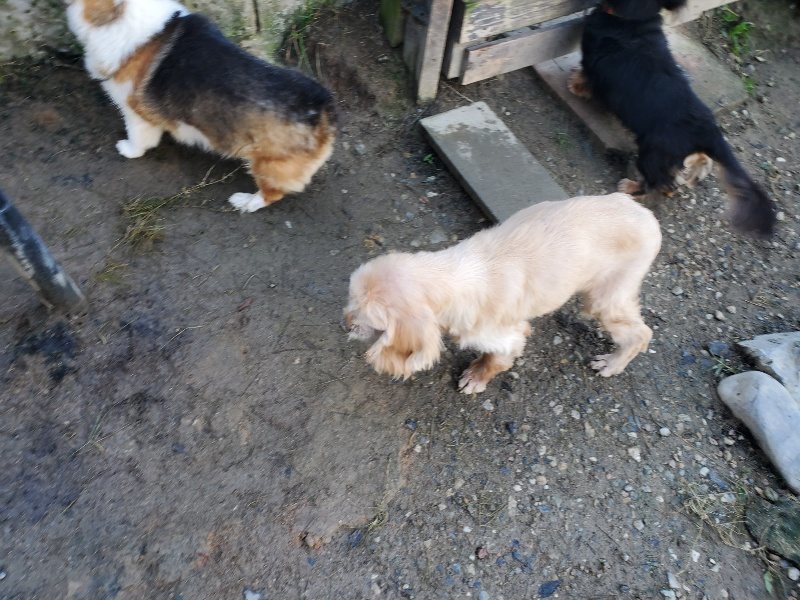 f:id:roukenhome-ann:20191106111833j:plain