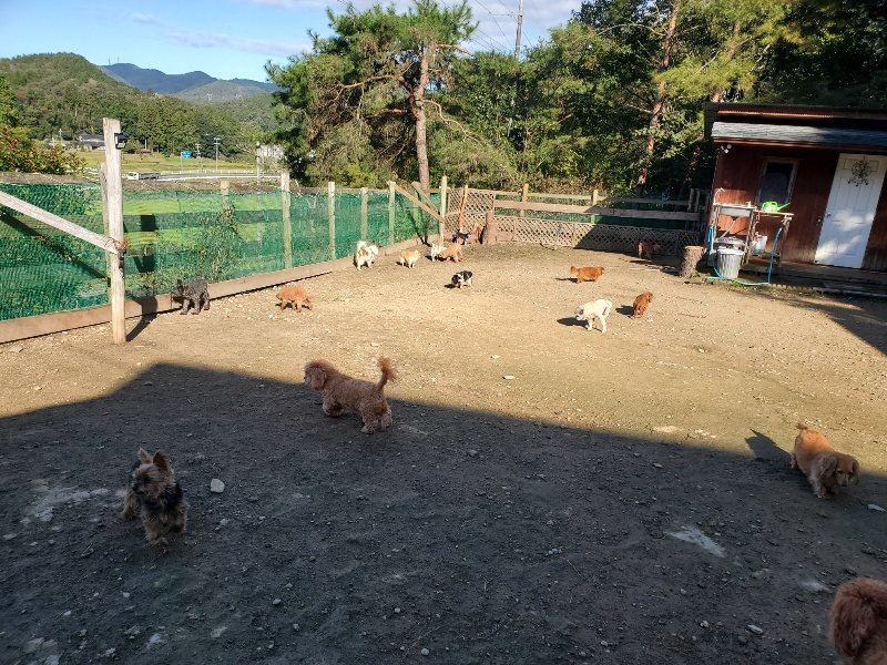f:id:roukenhome-ann:20191106111856j:plain