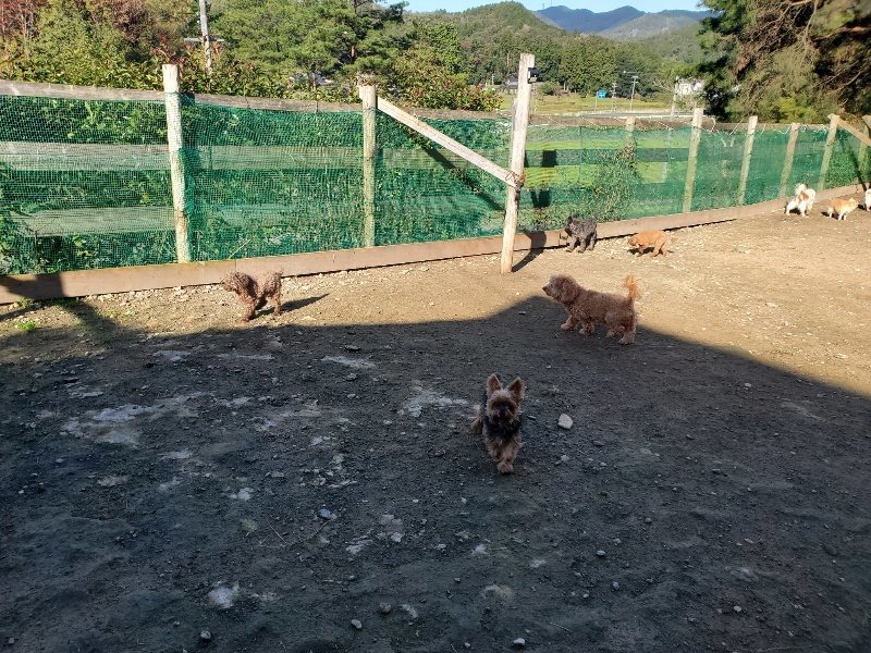 f:id:roukenhome-ann:20191106111947j:plain