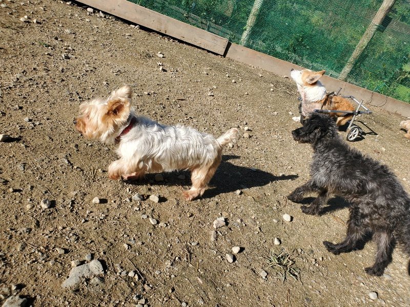 f:id:roukenhome-ann:20191106112012j:plain