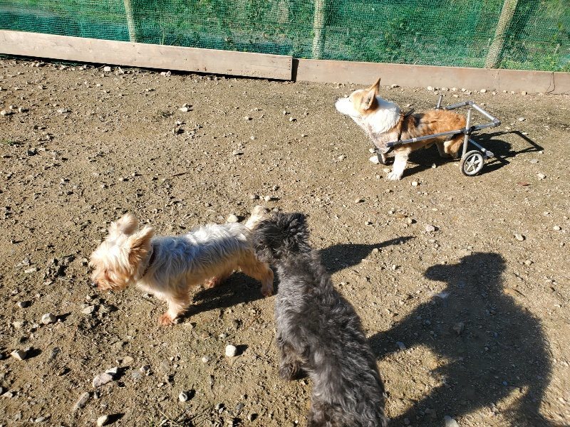 f:id:roukenhome-ann:20191106112113j:plain