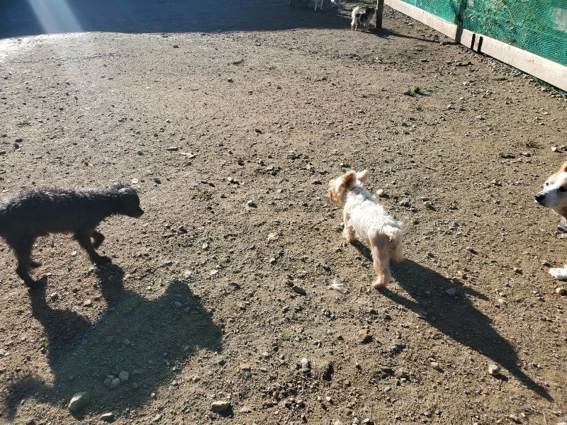 f:id:roukenhome-ann:20191106112153j:plain