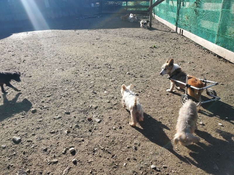 f:id:roukenhome-ann:20191106112241j:plain